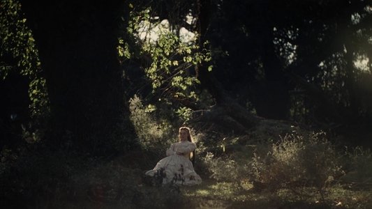 The Beguiled