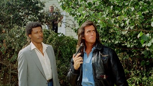 Samurai Cop