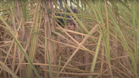 Diálogos Indígenas do Nosso Tempo