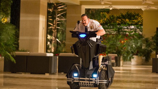 Paul Blart: Mall Cop 2