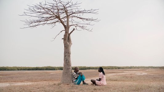 Patience (Sabali)