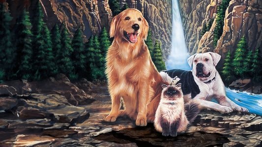 Homeward Bound: The Incredible Journey