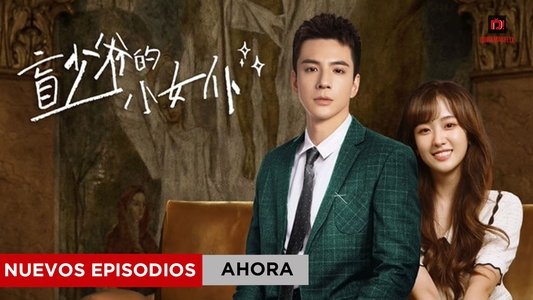盲少爷的小女仆