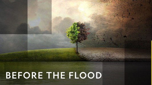 Before the Flood