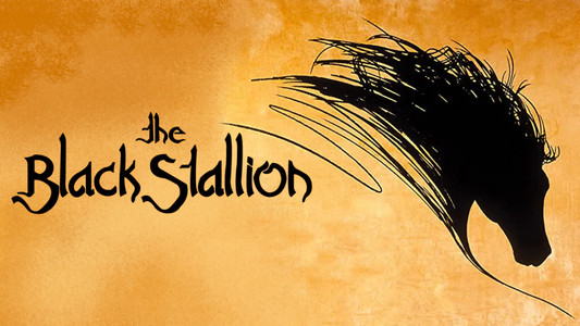 The Black Stallion