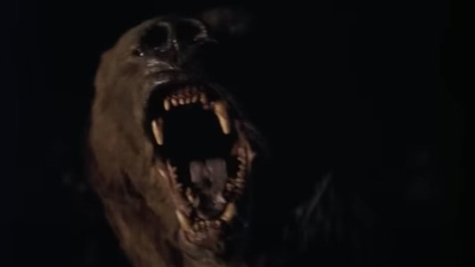 Wild Grizzly