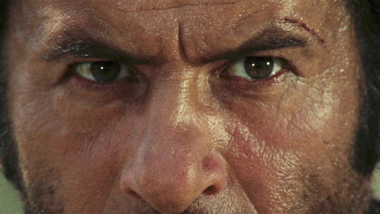 Il buono, il brutto, il cattivo