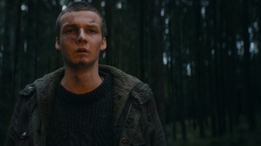 Le Cœur Noir des Forêts