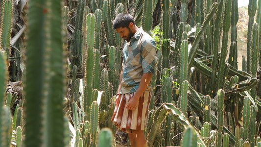 பைசன் காளமாடன்