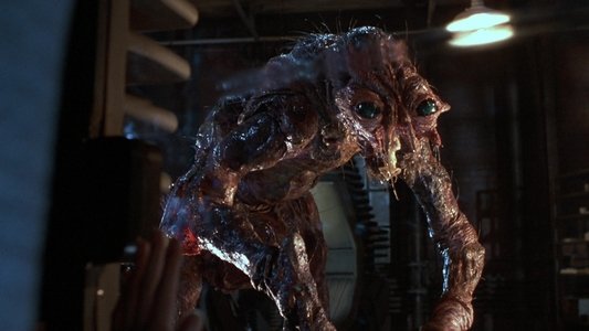 The Fly