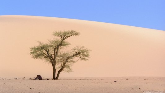 Fin de viaje, Sahara
