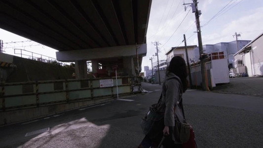 リップヴァンウィンクルの花嫁
