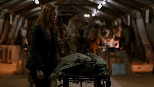 Zero Dark Thirty