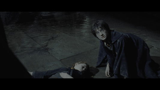 Harry Potter and the Chamber of Secrets