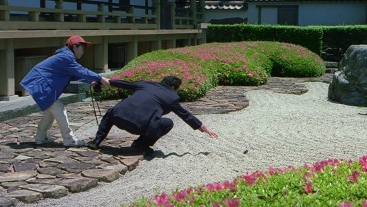 HANA-BI