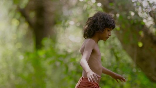 Children Of The Wild