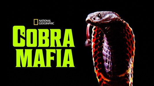 Cobra Mafia