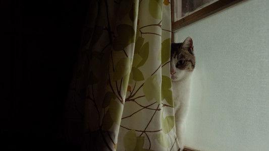 リトル・フォレスト 夏・秋