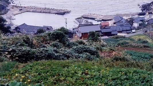 生まれた場所