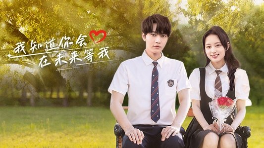 我知道你会在未来等我