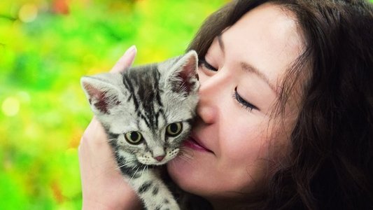 グーグーだって猫である