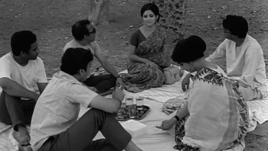 অরণ্যের দিনরাত্রি