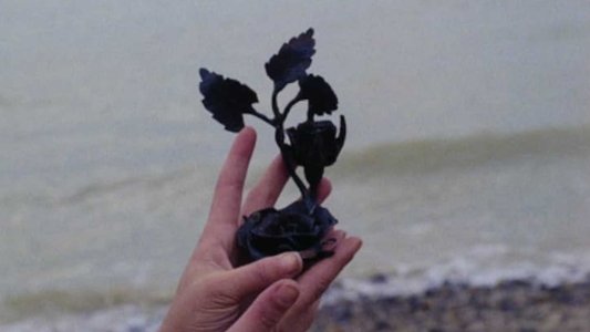 La Rose de fer