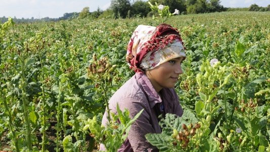 Abenteuer Türkei