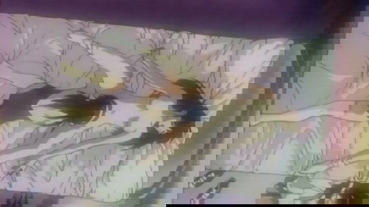ステンレスナイト