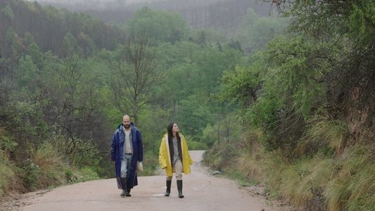 Los delincuentes