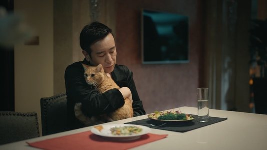宠爱