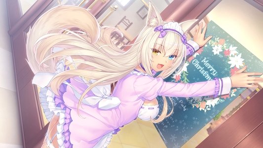 ネコぱら