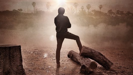 భీమ్లా నాయక్‌