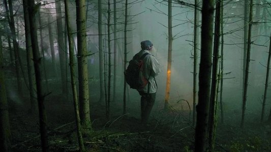 Schweigend steht der Wald