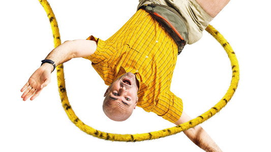 Marsupilami