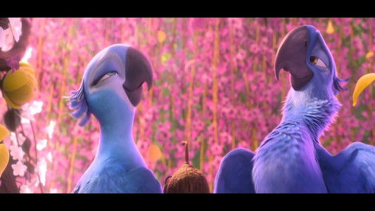 Rio 2