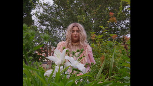 Gilded Lily