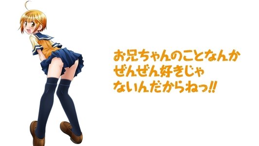お兄ちゃんのことなんかぜんぜん好きじゃないんだからねっ！！