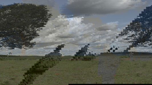 Horizonte