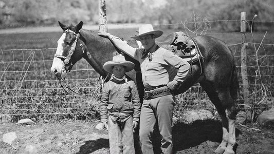 The Vanishing Pioneer