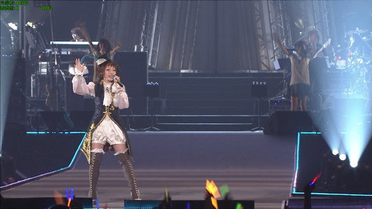 Animelo Summer Live 2010 -evolution- 8.29