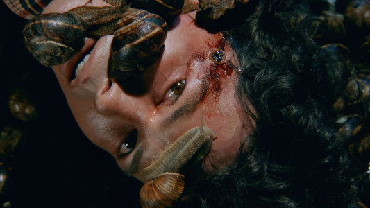 Un escargot dans la tête