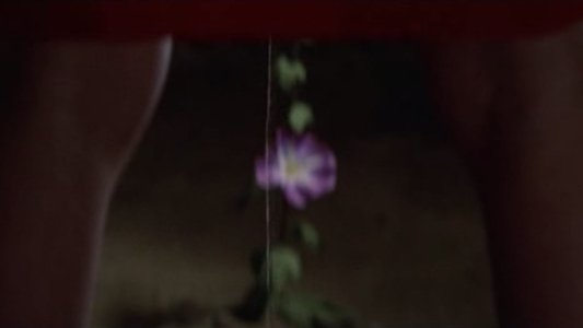 実録エロ事師たち 巡業花電車