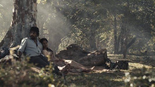 නොමියෙන මතකය