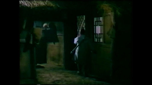 Fei long duo bo