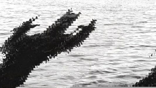 The Monster of Phantom Lake