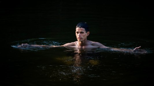 Guacho