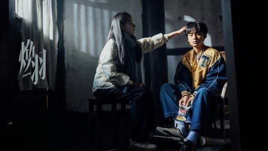 焕羽
