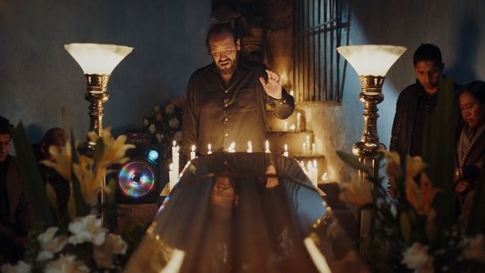 El visitante