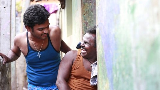 அம்மணி